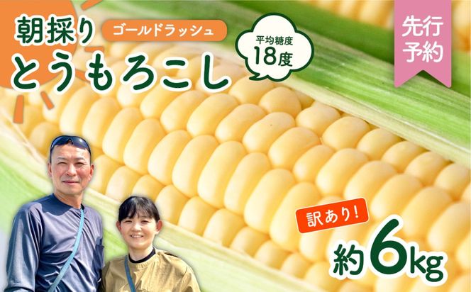 【先行予約 2026年6月中旬以降発送 】【 令和8年産 】【 訳あり 】 朝採り とうもろこし （ ゴールドラッシュ ） 約 6kg トウモロコシ スイートコーン コーン 野菜 産地直送 期間限定 岩田さん 昼めし旅 [AX021ya]