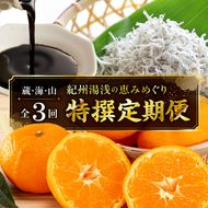 紀州湯浅の恵みめぐり 蔵・海・山の特撰定期便（全3回） _YAS60-T04