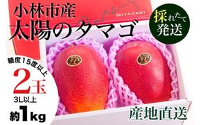 【数量限定・先行受付】厳選大玉宮崎完熟マンゴー「太陽のタマゴ」 2玉　計1kg程度（フルーツ 南国フルーツ マンゴー マンゴー予約 先行予約 太陽のタマゴ 宮崎 小林市 果物 果物予約 人気フルーツ ）