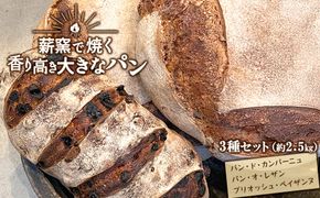 【薪窯焼き】香り高い大きなパン 3種セット (カンパーニュ・レザン・ブリオッシュ) ハード系パン レーズン パン セット K2686