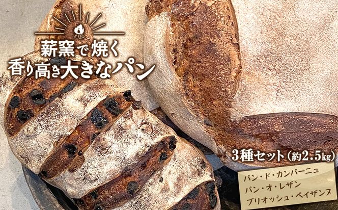【薪窯焼き】香り高い大きなパン 3種セット (カンパーニュ・レザン・ブリオッシュ) ハード系パン レーズン パン セット K2686