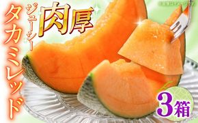 【2026年5月〜発送】タカミメロン レッド 3箱 （1箱 3～6玉）/ メロン めろん フルーツ 果物 / 南島原市 / 南島原果物屋[SCV033]