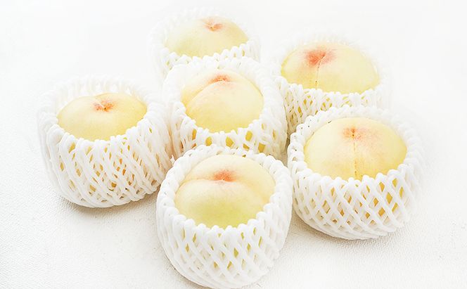 フルーツ 2026年 先行予約 晴れの国 岡山 の フルーツ 定期便 2回コース 桃 ぶどう 岡山県産 国産 フルーツ 果物 ギフト マスカット もも モモ お楽しみ 高級ぶどう