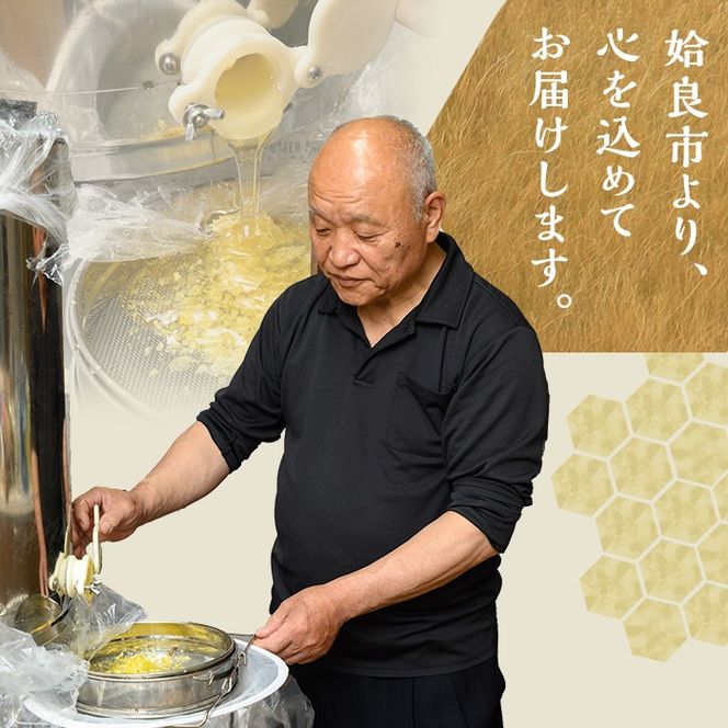 a1002 《期間限定！》選べる容量！姶良ハニー(250g・500g)【原電設工業】姶良市 国産 ハチミツ はちみつ 蜂蜜 百花蜜 蜜 常温 常温保存