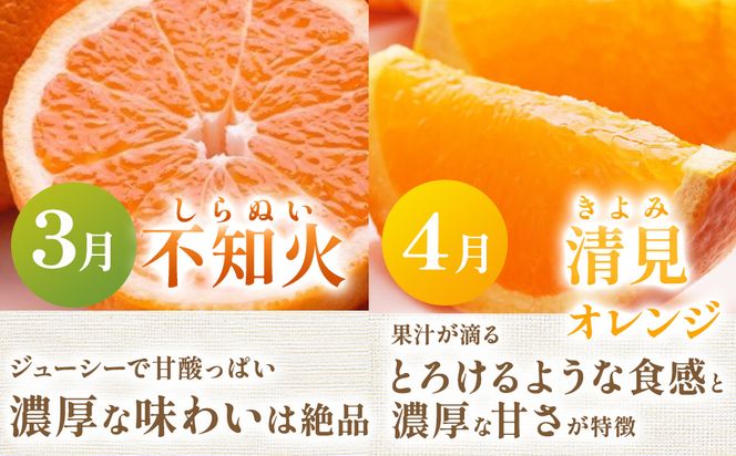 【定期便】厳選 柑橘定期便 S 3回（4～6月）※北海道・沖縄・離島への配送不可※4月・5月・6月に発送