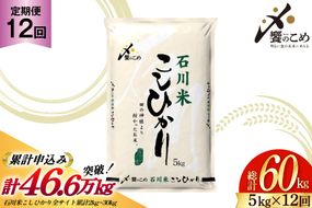 米 定期便 石川米こしひかり【穂立】5kg×12回 総計60kg [中橋商事 石川県 宝達志水町 38600814]コシヒカリ お米 コメ 12ヶ月 白米 精米 おこめ こめ 能登 5kg 5キロ