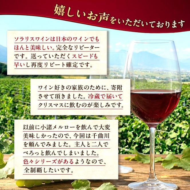ワイン 信州ワイン 白 ソラリス 千曲川 信濃リースリング クリオ・エクストラクション