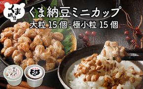 北海道くま納豆ミニカップ（極小粒・大粒 各15個）