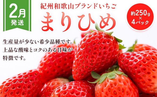 【先行予約】【発送月固定定期便】紀州和歌山産 旬のフルーツ便（いちご・桃・富有柿）【全３回】魚鶴商店《2027年2月上旬-11月末頃出荷》 和歌山県 日高川町 まりひめいちご 紀州和歌山産の桃 富有柿 化粧箱 贈答用 定期便---wsgh_uotteif1_25_48000_2711y3---