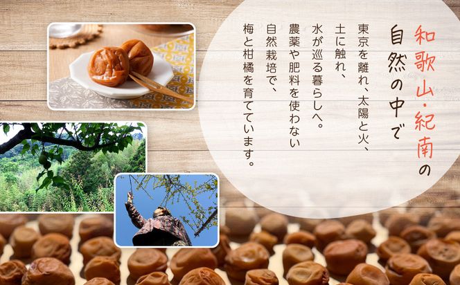 ひとみずの梅 3種セット 梅干し 練り梅 梅酢 自然栽培で育てた紀州南高梅使用 ※栽培期間中、農薬・肥料・堆肥不使用 304018_EW06