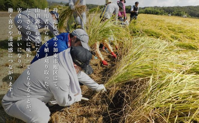 剣菱 純米酒 なんでんの 720ml [ 加東市特A地区 東条産山田錦 剣菱酒造 日本酒 酒 お酒 四合瓶 贈答品 ギフト 兵庫県 兵庫 加東市 障がい者支援 思いやり型返礼品 ]