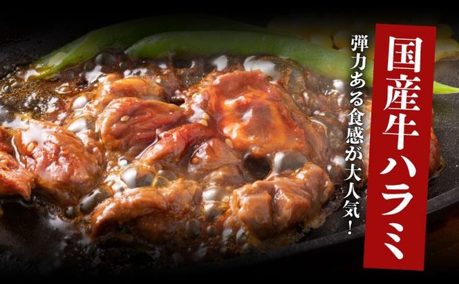 ヤマジュウの特製タレ漬け！牛ハラミ肉５００ｇ【６回定期便】_yj089