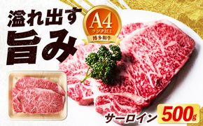 博多和牛 牛肉 サーロイン ステーキ 500g（250g×2枚）《築上町》【肉のくまもと屋】[ABEZ005]