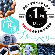ブルーベリー【冷凍ブルーベリー（Mサイズ）１kg　贈答品】冷凍 完熟 果物 トッピング ヨーグルト 信州 長野