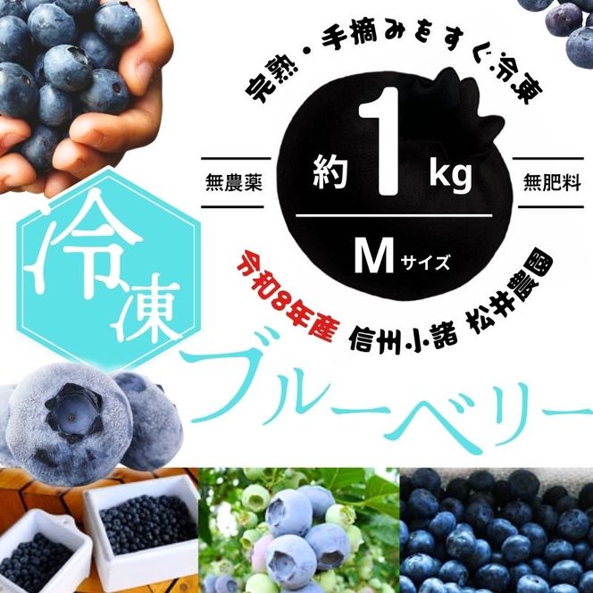 ブルーベリー【冷凍ブルーベリー（Mサイズ）１kg　贈答品】冷凍 完熟 果物 トッピング ヨーグルト 信州 長野