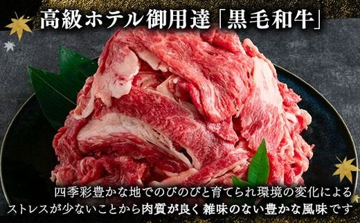 京都嵐山中村屋総本店厳選 国産黒毛和牛 切り落とし 600g（300g×2パック）≪訳あり 業務用 和牛 牛肉 真空冷凍 小分け≫