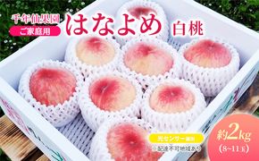 【2026年先行予約】 桃 岡山県産 ご家庭用 はなよめ（ 白桃 ）（光センサー選別） 約2kg（8～11玉） 千年仙果園 《2026年6月中旬-下旬頃出荷》 岡山 スイーツ フルーツ 果物 先行予約 数量限定 期間限定 岡山 里庄町