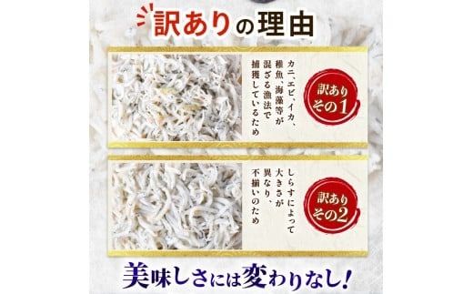 訳あり 釜揚げ しらす 400g 500g 800g 1kg 2kg 減塩 無着色 冷凍 高知県 安芸市 ご飯 ごはん 丼 料理 国産 シラス しらす しらすごはん シラスパスタ sirasu shirasu 松村海産 シラス 人気 おすすめ シラス しらす しらすごはん shirasu sirasu SIRASU 人気シラス