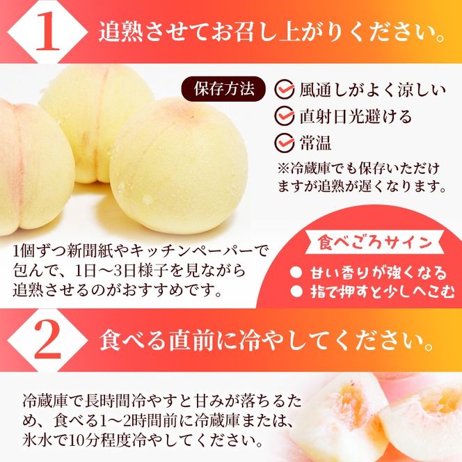 【2026年先行予約】 岡山県産 白皇 2kg 化粧箱入り・贈答用 高級 白桃 はくおう 花田青果【8月中旬～9月初旬まで順次発送予定】/ 桃 もも モモ 果物フルーツ 贈答品 贈り物 岡山県【hnds005】
