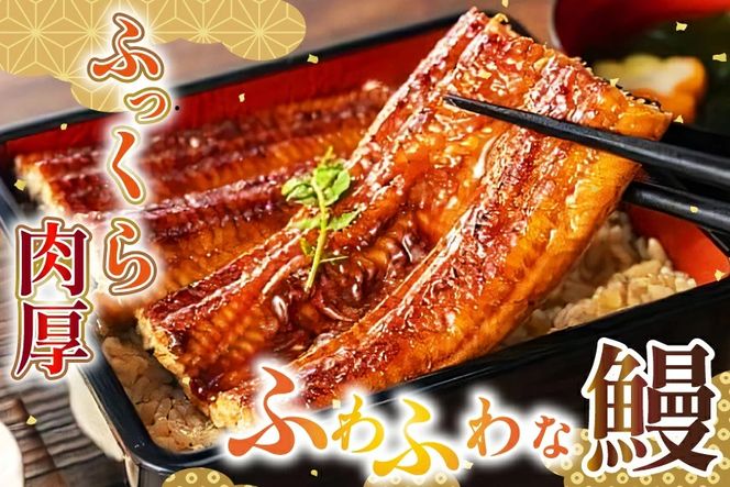 やなぎ kucca まとめ売り 2025.01.31-02.02｜コトブキヤコレクション2025開催決定 – 株式
