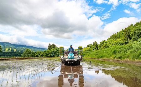 【令和6年産】瑞穂 ゆたか米 20kg（6-82A）