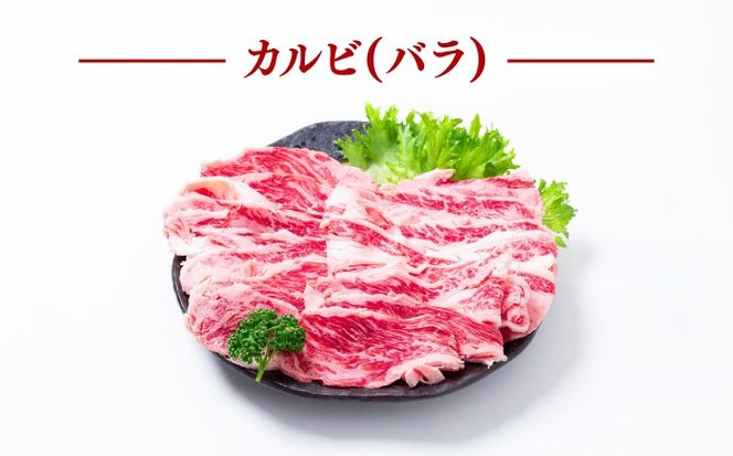 【5回定期便】長崎和牛 焼き肉 食べ比べセット もも カルビ 600g / 牛肉 焼肉 やき肉 ぎゅうにく / 南島原市 / 贅沢宝庫[SDZ069]