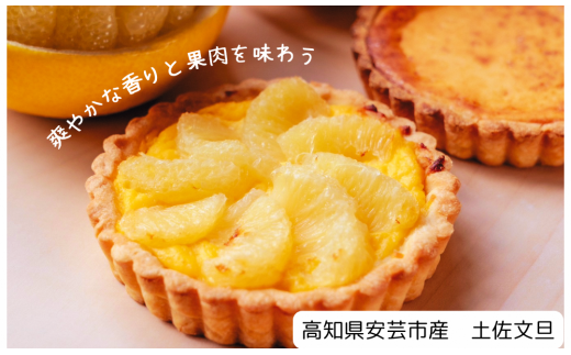 スイーツキッシュ2種セット キッシュ スイーツ デザート バスクチーズケーキ 濃厚 クリーミー チーズケーキ 旬 果物 高知県産 パイ タルト 新食感 しっとり サクサク ランチ 美容室 喫茶店 しおん 直径11㎝ 2個 スイーツチーズキッシュ 季節のスイーツキッシュ 返礼品 安芸市 高知県