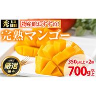 【0125938a】《先行予約・数量限定》鹿児島県産南国の恵み完熟マンゴー(秀品・350g以上×2個) 果物 フルーツ 果実 冷蔵 デザート 国産 【東串良物産館ルピノンの里】