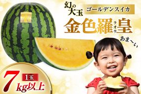 ペルピンズさんにご紹介いただきました【令和9年度出荷分】幻のゴールデンスイカ！～金色羅皇（ラオウ）～（7kg以上） [先行予約 数量限定 すいか スイカ 西瓜 らおう 羅王 フルーツ 果物 長崎 長崎県 島原市 CG075]