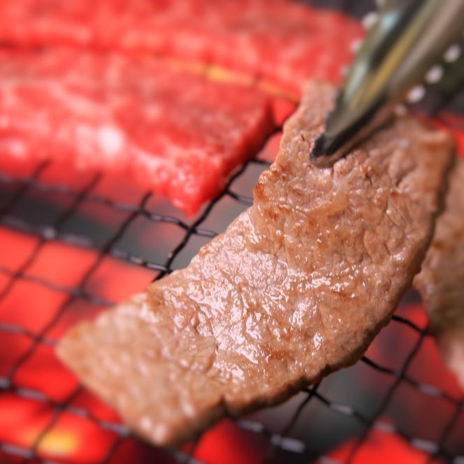 【冷蔵・年６回お届け】特選 黒田庄和牛霜降り・肩ロースプレミアムセット（焼肉・すき焼き・しゃぶしゃぶ・ステーキから選べます！） tokusan-55