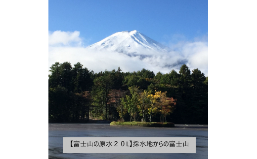 【12か月お届け】バナジウム天然水定期便 富士山の原水 20L BIB 防災 保存 ストック 防災グッズ 備蓄 山梨 富士吉田