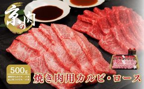 カルビ ロース 食べ比べセット 京の肉 500g たれ付き 焼肉用 ブランド牛 黒毛和牛 和牛 牛 牛肉 お肉 肉 焼き肉用肉 焼肉 焼き肉 アウトドア キャンプ BBQ カルビ肉 ロース肉 食べ比べ セット 詰め合わせ タレ 最高級 冷凍 京都 京都府 南丹市