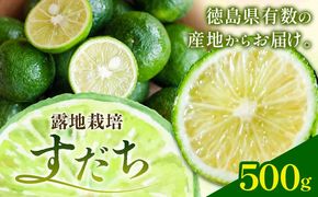 佐那河内名産 露地栽培 すだち 500g 露地すだち スダチ 一般財団法人さなごうち《8月下旬-11月上旬頃出荷》徳島県 佐那河内村 送料無料 スダチ 露地 魚 豆腐 冷奴 焼き魚 天ぷら 刺身 上質 徳島県産---sanagouchi_hss_3_500g---