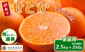 ［先行予約］家庭用 せとか2.5kg+250g（傷み補償分）［柑橘・春みかんの王様］［わけあり・訳あり］［光センサー選果・食べ頃出荷］［IKE62w］ CZ046