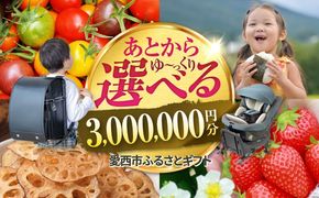 【あとから選べる】 愛知県愛西市ふるさとギフト 300万円分 日本酒 スイーツ シャンプー あとから ギフト[AECY020]