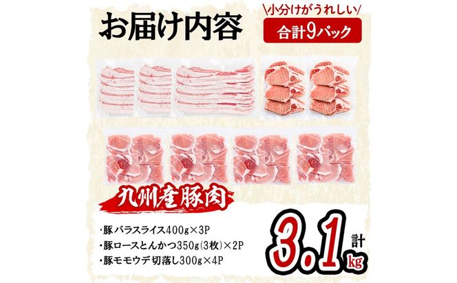 小分け・真空パック!九州産豚肉3種(計3.1kg)  a5-319