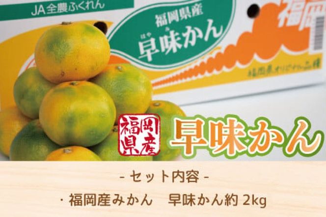 みかん 早味かん 約 2kg 【期間限定発送】 [南国フルーツ 福岡県 宇美町 um40azo970030] 先行予約 福岡県産 ミカン 早生みかん 早生ミカン フルーツ 果物 くだもの 果実 甘い あまい