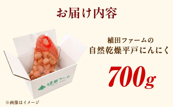 植田ファームの自然乾燥平戸にんにく700g 〈2026年6月10日～2026年10月31日〉700グラム ニンニク ガーリック おつまみ お酒 料理 醤油漬け ガーリックオイル ペペロンチーノ パスタ スパゲッティ 高知県 土佐市【株式会社植田ファーム】[BQAT004]