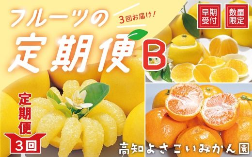 24-1004．【早期受付・数量限定・3回定期便】高知よさこいみかん園のフルーツ定期便B【配送時期：2025年3月・6月・11月】