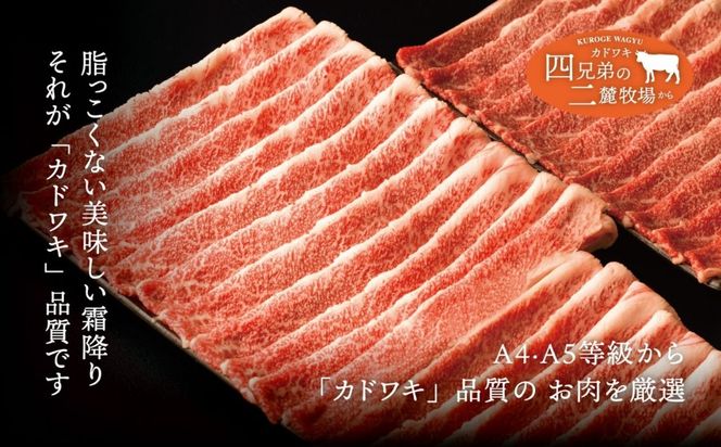 A4･A5「二麓（にろく）霜降り」黒毛和牛（大判）切り落とし 1kg（250g×4）ニセコ連峰と鈴鹿山脈、二つの麓（ふもと）で育てた脂の質にこだわった美味しい霜降りをリーズナブルに│牛肉 国産牛 ブランド牛 冷凍便 大容量 年末年始 お正月 焼肉 しゃぶしゃぶ すき焼き 三重県 四日市市 ふるさと納税