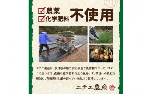 【先行予約】京都 丹後産 甘い有機玉ねぎ 5キロ【有機JAS取得】（2026年6月上旬～発送）　DE00139