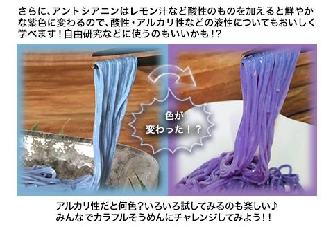 そらいろそうめん濃色 選べる 2セット 3セット 6セット 福永幸山堂《30日以内に出荷予定(土日祝除く)》---sm_smtk_30d_23_7500_2p---