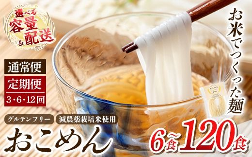 a1101 《選べる容量・配送》おこめん(中麺) 1食100g(計6食・計10食・3回・6回・12回定期便)【アグリベースAIRA】姶良市 麺 お米麺 グリテンフリー 定期便