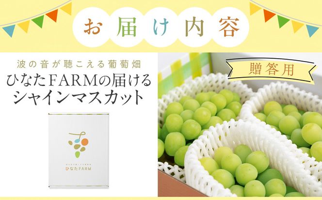 1038.【贈答用】波の音が聴こえる葡萄畑 ひなたFARM シャインマスカット 313726_CD001