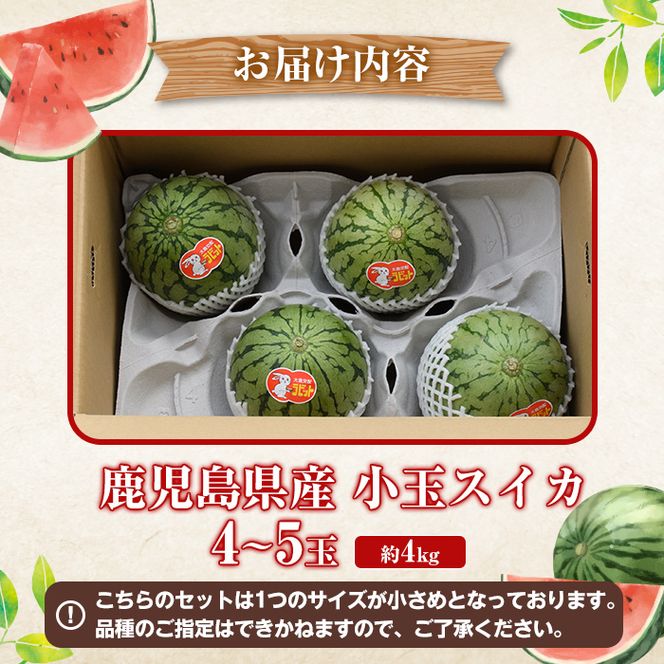 ＜先行予約受付中！2026年5月下旬以降順次発送予定＞鹿児島県産 小玉スイカ(4～5玉) 国産 果物 スイカ すいか 西瓜 フルーツ スイーツ スムージー ジュース 期間限定【松永青果】akn053-25