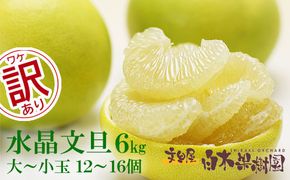 【先行予約】水晶文旦 ご家庭用お得箱 約６kg Mサイズ～４Ｌサイズ（12～１６個入り）〈2026年10月上旬～11月上旬頃発送〉訳あり ワケあり 訳 傷 キズ へこみ 文旦 ブンタン ぶんたん 水晶文旦 果物 柑橘 フルーツ 家庭用 ご自宅用【白木果樹園】 [BQAI022]