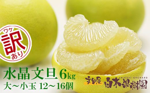【先行予約】水晶文旦 ご家庭用お得箱 約６kg Mサイズ～４Ｌサイズ（12～１６個入り）〈2026年10月上旬～11月上旬頃発送〉訳あり ワケあり 訳 傷 キズ へこみ 文旦 ブンタン ぶんたん 水晶文旦 果物 柑橘 フルーツ 家庭用 ご自宅用【白木果樹園】 [BQAI022]