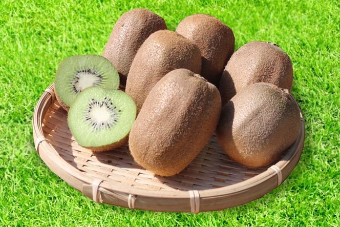 【先行予約】 キウイフルーツ 秀品 約3.6kg サイズ混合 和歌山県産