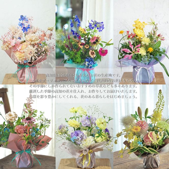 【CF-R7hbk】t161tmf　《6ヵ月定期便》おすすめ生花アレンジメントM 定期便 定期コース 全6回 フラワーアレンジメント そのまま飾れる 生花 花束 花 お花 おすすめ 可愛い キレイ おしゃれ 季節のお花 供花 お供え
