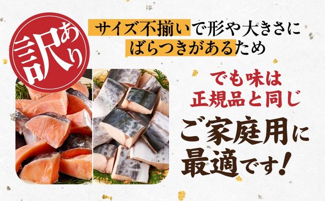 G3802 【お弁当サイズ】さわら&銀鮭 切身 計40切れ（各約50g×20切れ） 【小分け 漁師 さけ サケ 手切り  泉州 鰆 切り身 弁当 朝食 時短 訳あり サイズ不揃い 規格外 冷凍食品 】